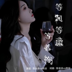 等风等雨等着你封面