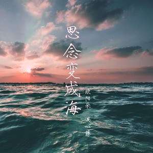 思念变成海