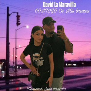 Contigo en Mis Brazos