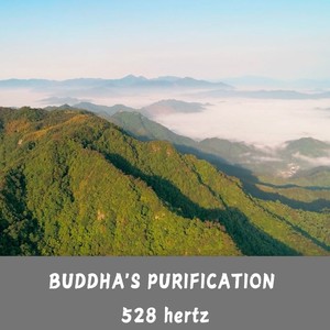 Buddha's Purification 528 hertz