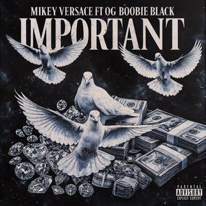 Important (feat. Og Boobie black) (Explicit)
