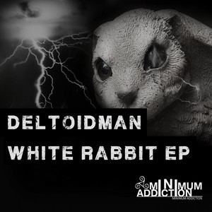 White Rabbit (Original Mix)