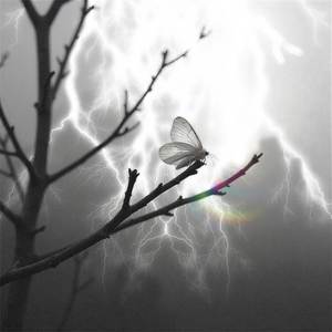 ༺sorry again༻ (super slowed + reverb)