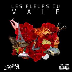 Les Fleurs Du Mâle(feat. Jay Paris) (Explicit)