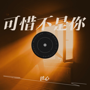 可惜不是你