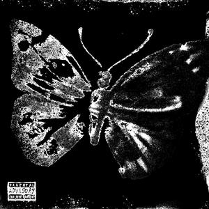 Paper Plans (Explicit)