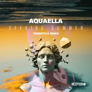Seeking Summer (VendettaX Remix)