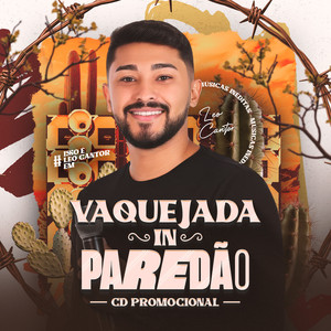 Vou Partir Pra Vaquejada