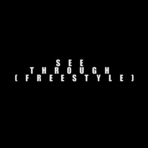 See Through Freestyle (feat. Richymoe) [Explicit]