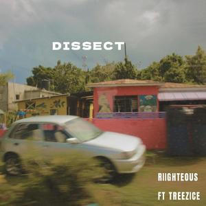 Dissect (Explicit)