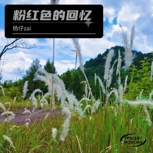 粉红色的回忆 (翻奏: 韩宝仪)