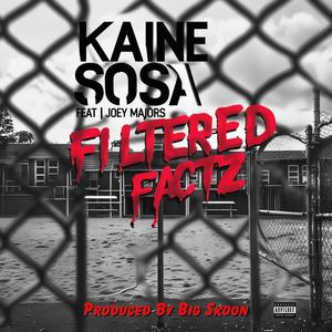 Filtered Factz (feat. Joey Majors) (Explicit)
