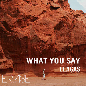 What You Say (Radio Mix)