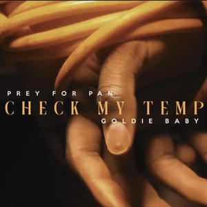 Check My Temp (Explicit)
