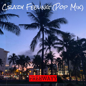 Crazy Feeling (Pop Mix)