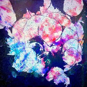 NOVA (feat. alisynn, byreality, idle, aurial & Luoe)