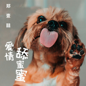 爱情舔蜜蜜封面