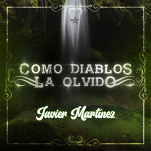 Como Diablos la Olvido