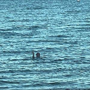 wrong guy (Explicit)