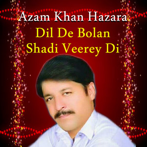 Dil De Bolan Shadi Veerey Di, Vol. 1