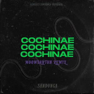 Vamo a hacer cochinae rmx (Explicit)
