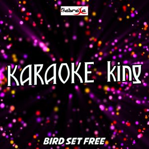 Bird Set Free(Originally Performed by Sia) (Karaoke Version)