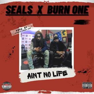 Aint no Life (feat. Seals) [Explicit]