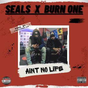 Aint no Life (feat. Seals) (Explicit)