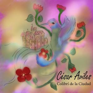Colibrí de la Ciudad