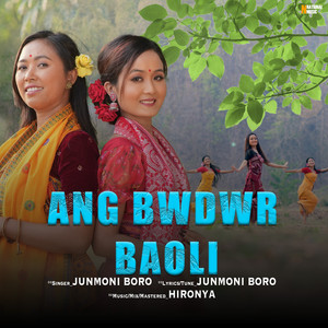 Ang Bwdwr Baoli