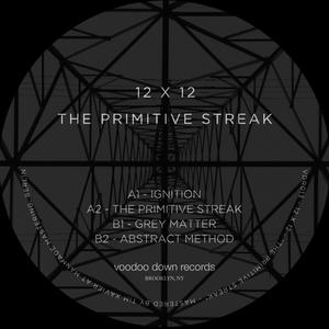 The Primitive Streak