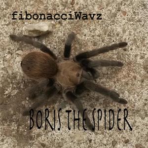 Boris The Spider