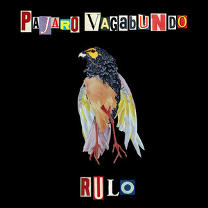 Pájaro Vagabundo