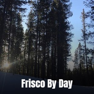 Frisco By Day