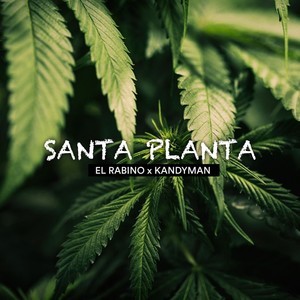 Santa Planta