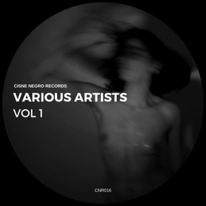 Various Artists, Vol. 1