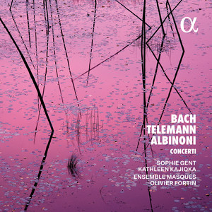 Violin Concerto in A Minor, BWV 1041 - I. […]