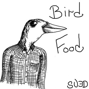 Bird Food