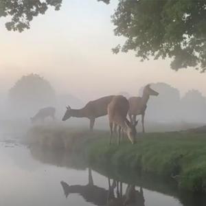 whats happening to me