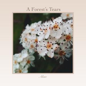 A Forest's Tears