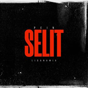 Selit (feat. Liqanamia) [Explicit]