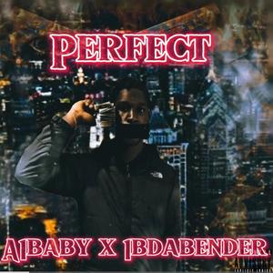 Perfect (feat. 1B) [Explicit]