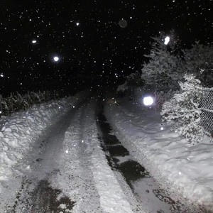 雪飘雪舞雪似花 (温暖版)