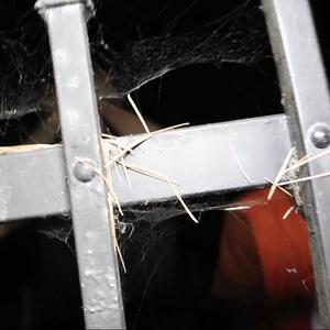 Grimey Ways (feat. C0LDGAME) (Explicit)