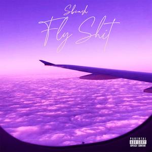 Fly **** (Explicit)