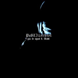 Pas de signal (feat. Dimitri) (Explicit)