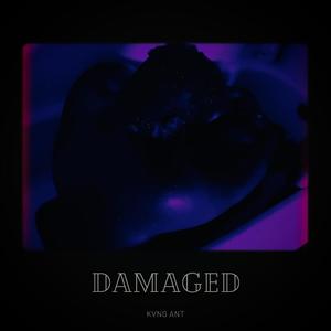 Damaged (Explicit)