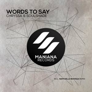 Words to Say (Raffaello Bonaga Remix)
