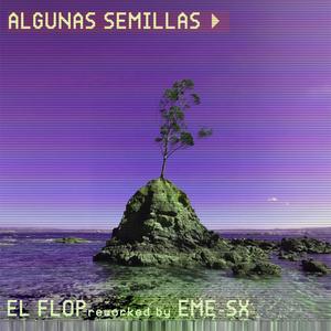 ALGUNAS SEMILLAS (EME-SX Remix)