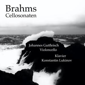 Johannes Brahms Cellosonaten